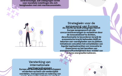 Van video naar infographic stap 2